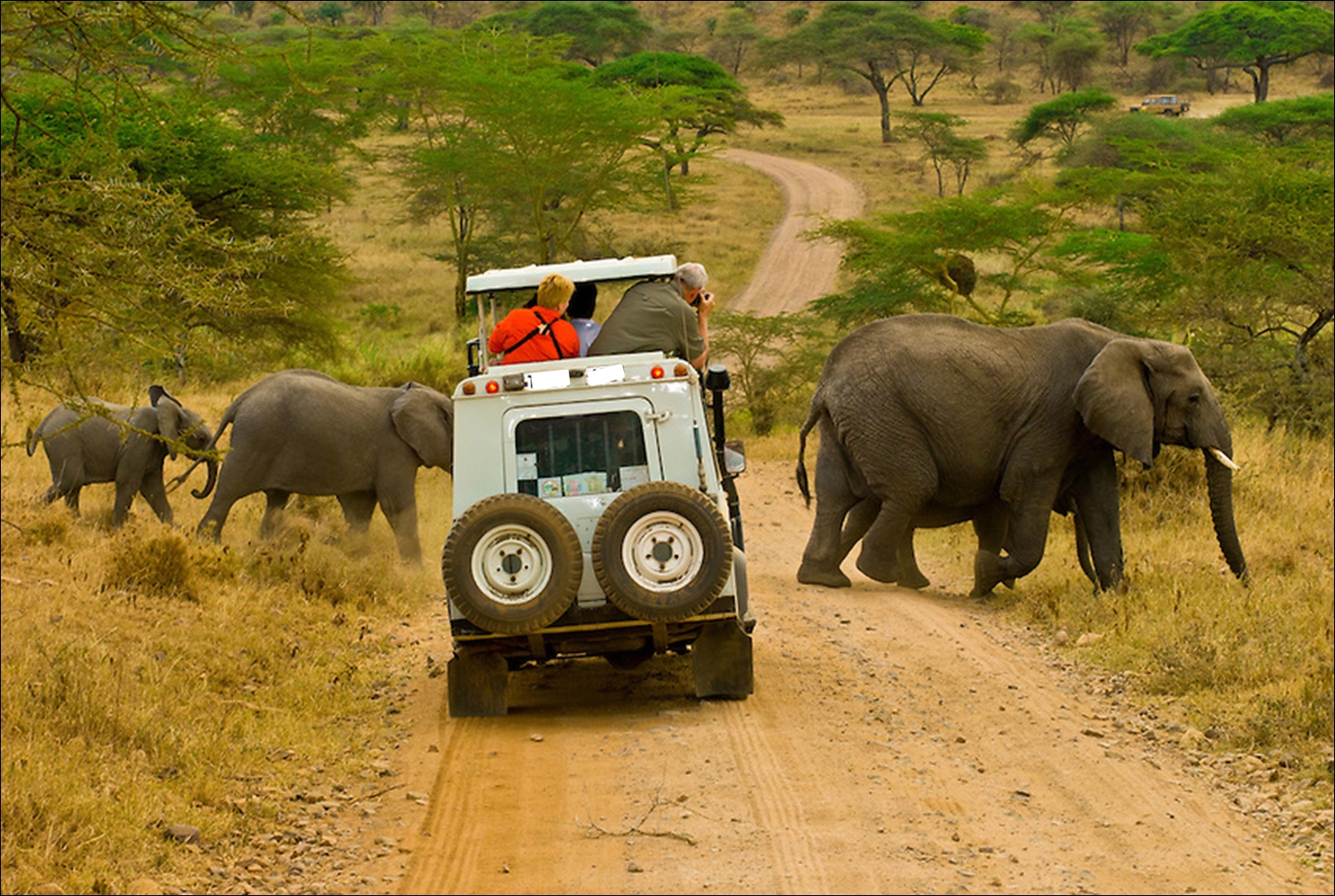 Tanzania Wildlife Safari & Zanzibar
