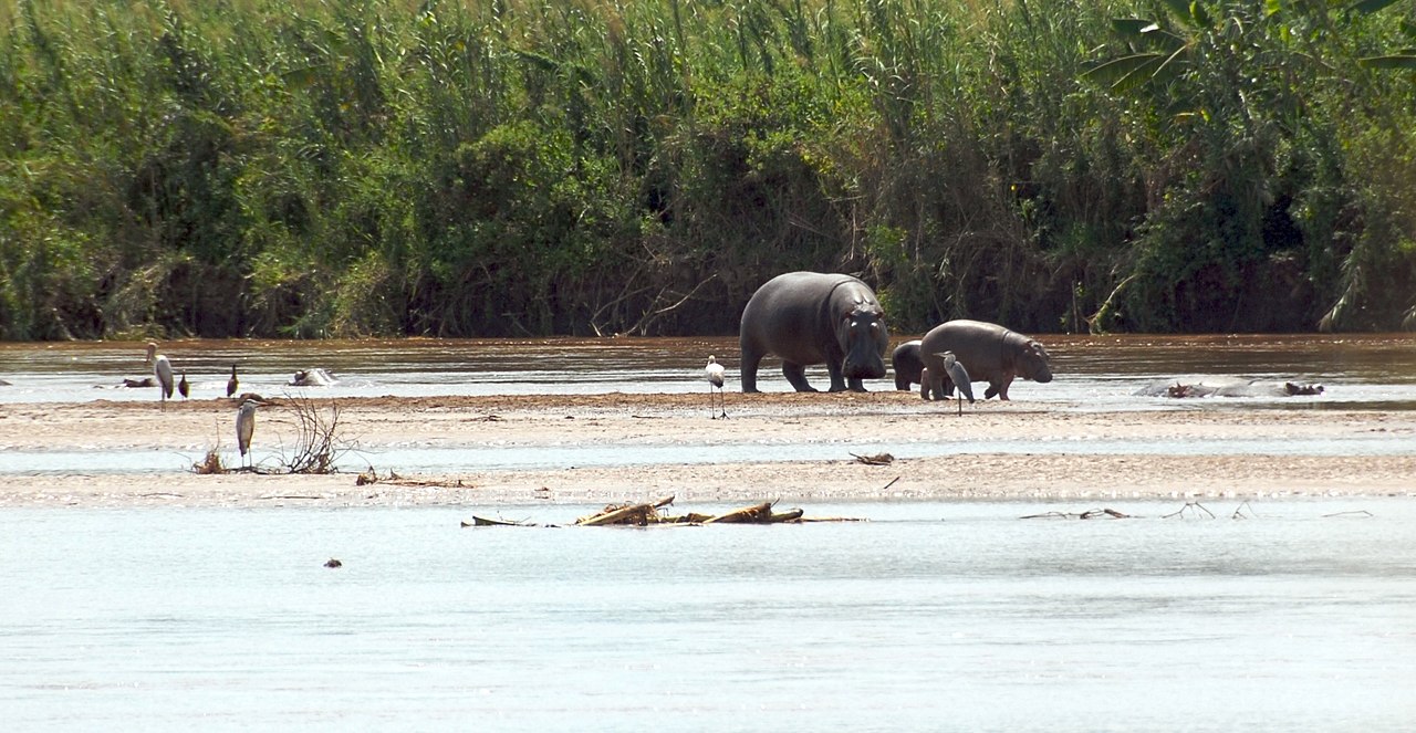 Burundi Exploration Safari