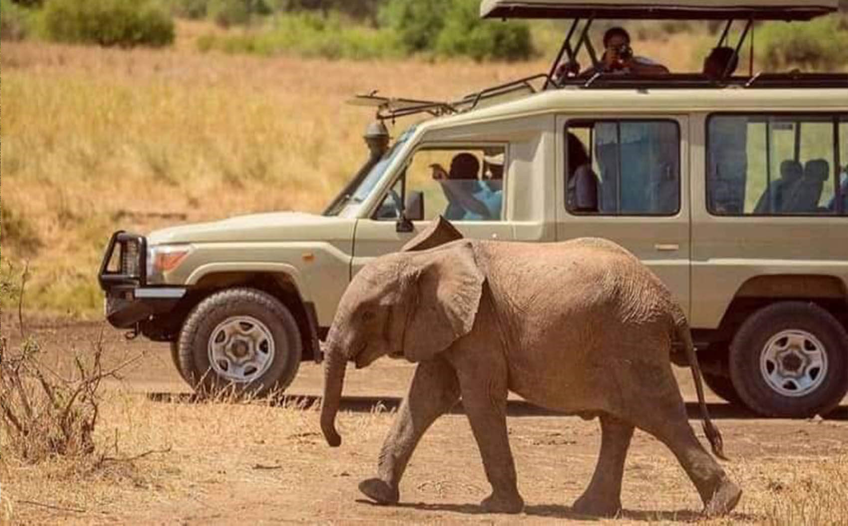 LGBTQ+ Safaris Experiences