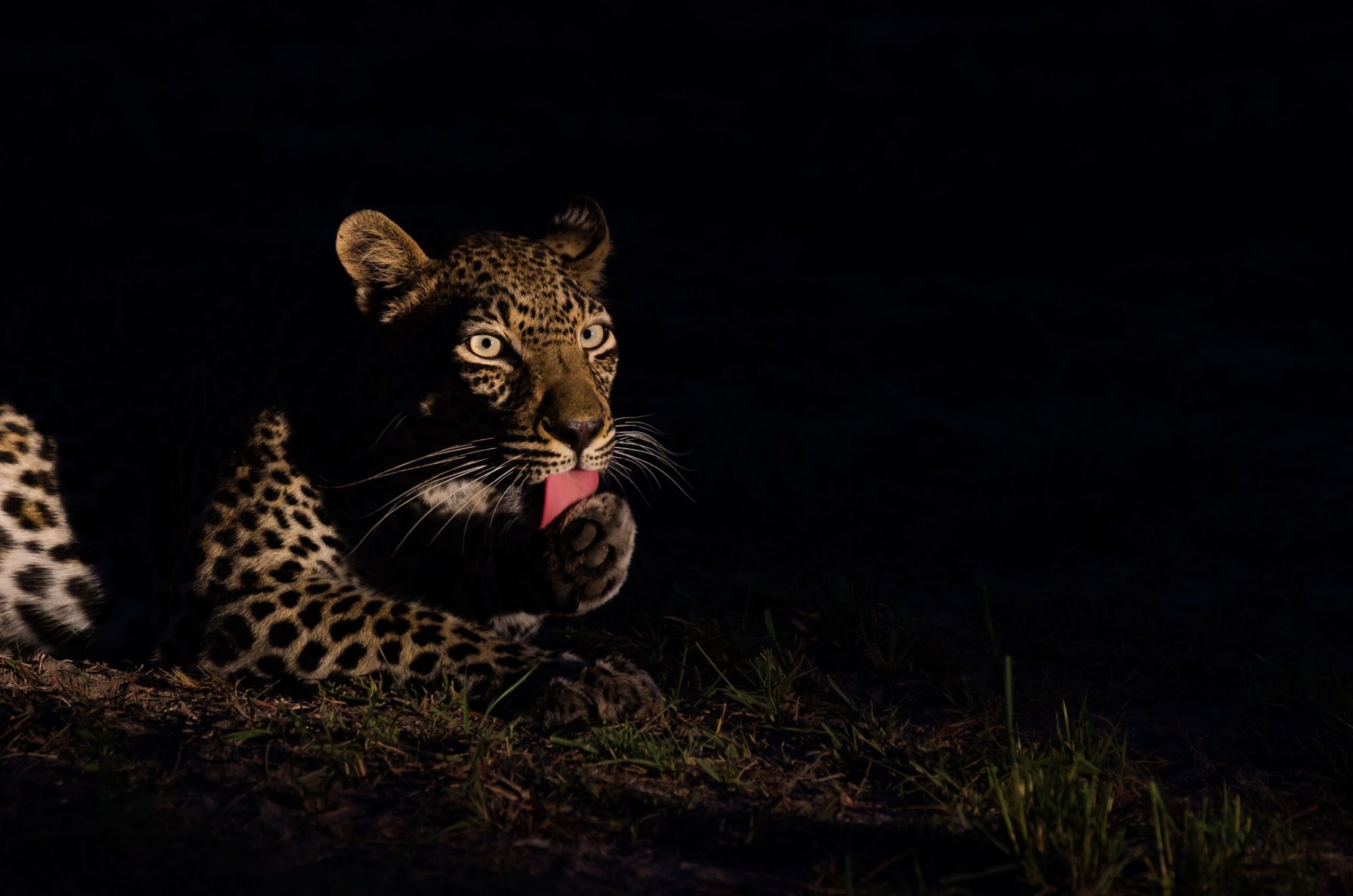 Uganda Big Five & Gorilla Trekking Safari