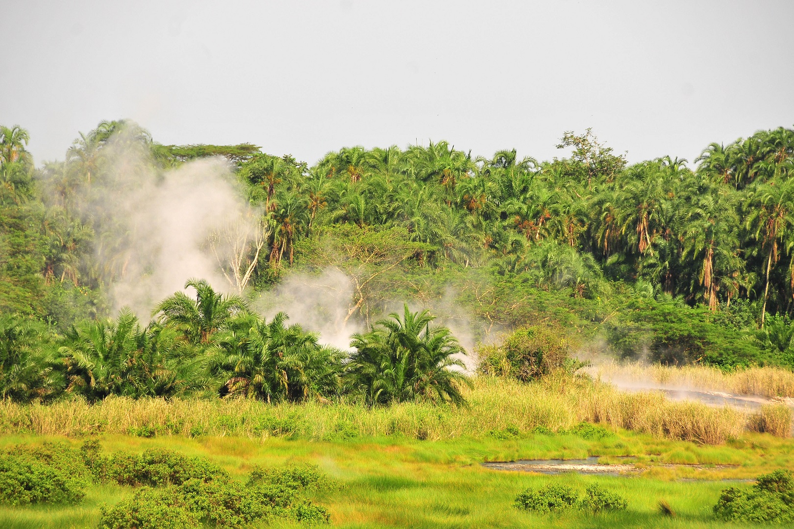 Semuliki National Park