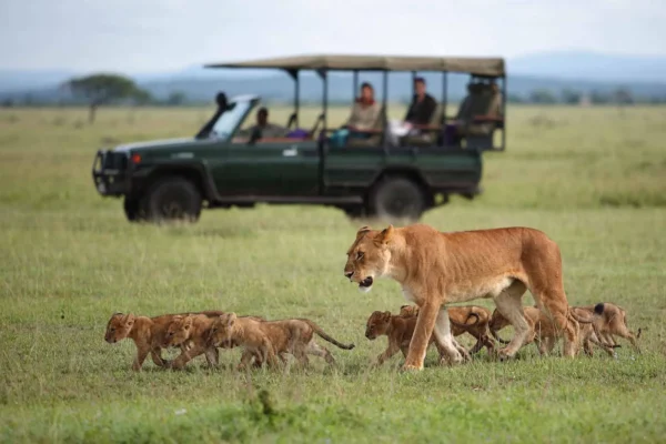 Tanzania Adventure Safari