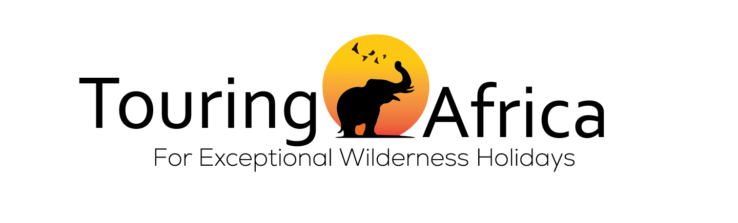 Tour Africa