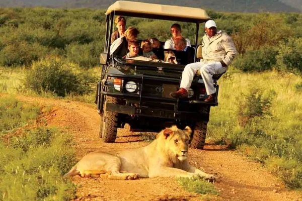 Uganda Game Drives Safari