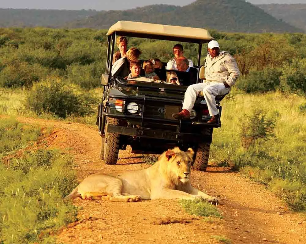 Uganda Game Drives Safari