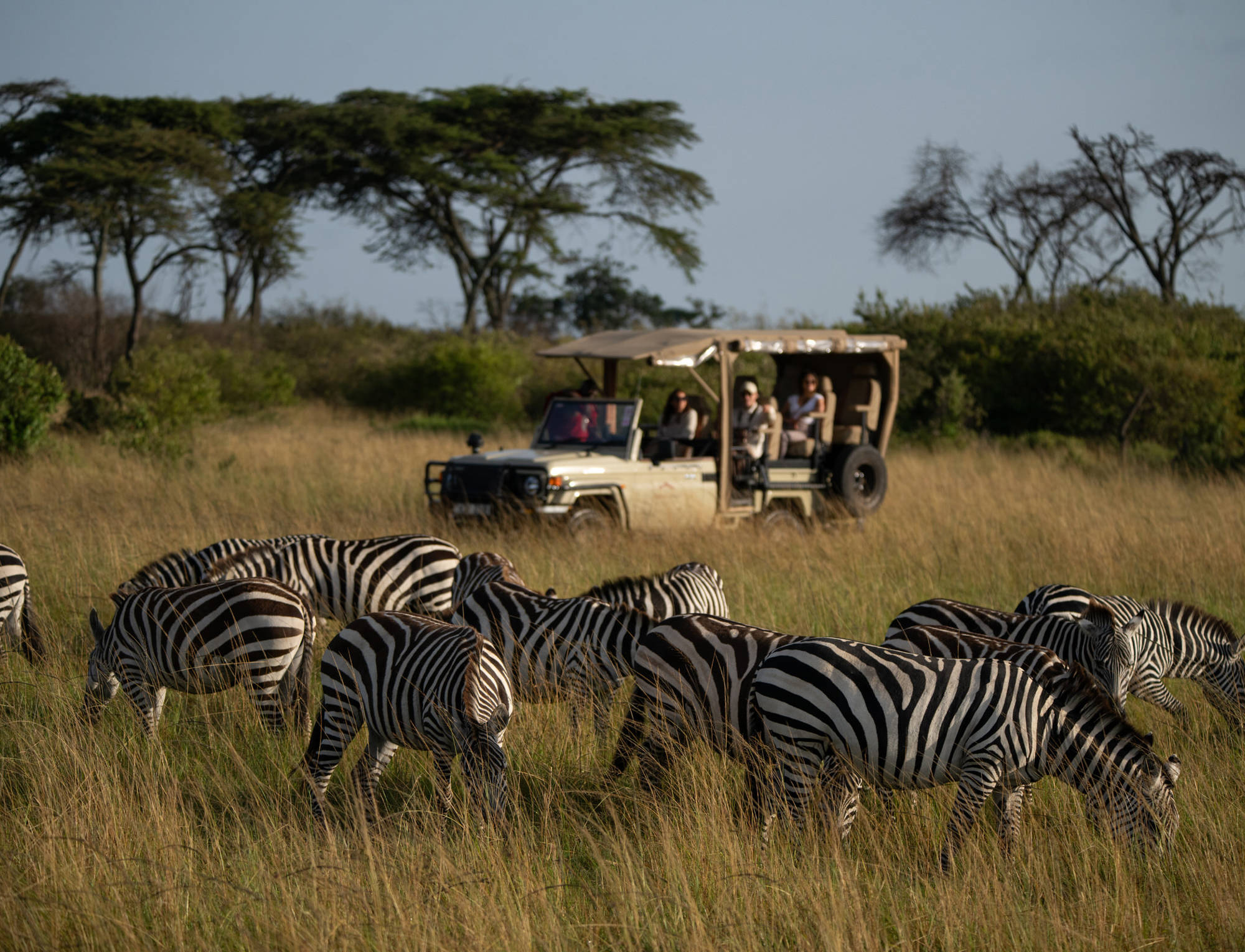 Unforgettable Kenya Game Drive Safari