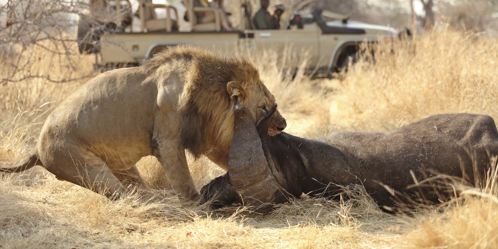 Ultimate Tanzania Wildlife Safari