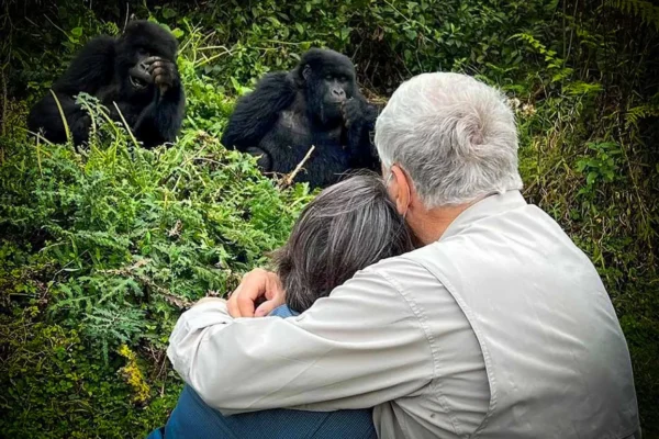 Bwindi Impenetrable Forest National Park