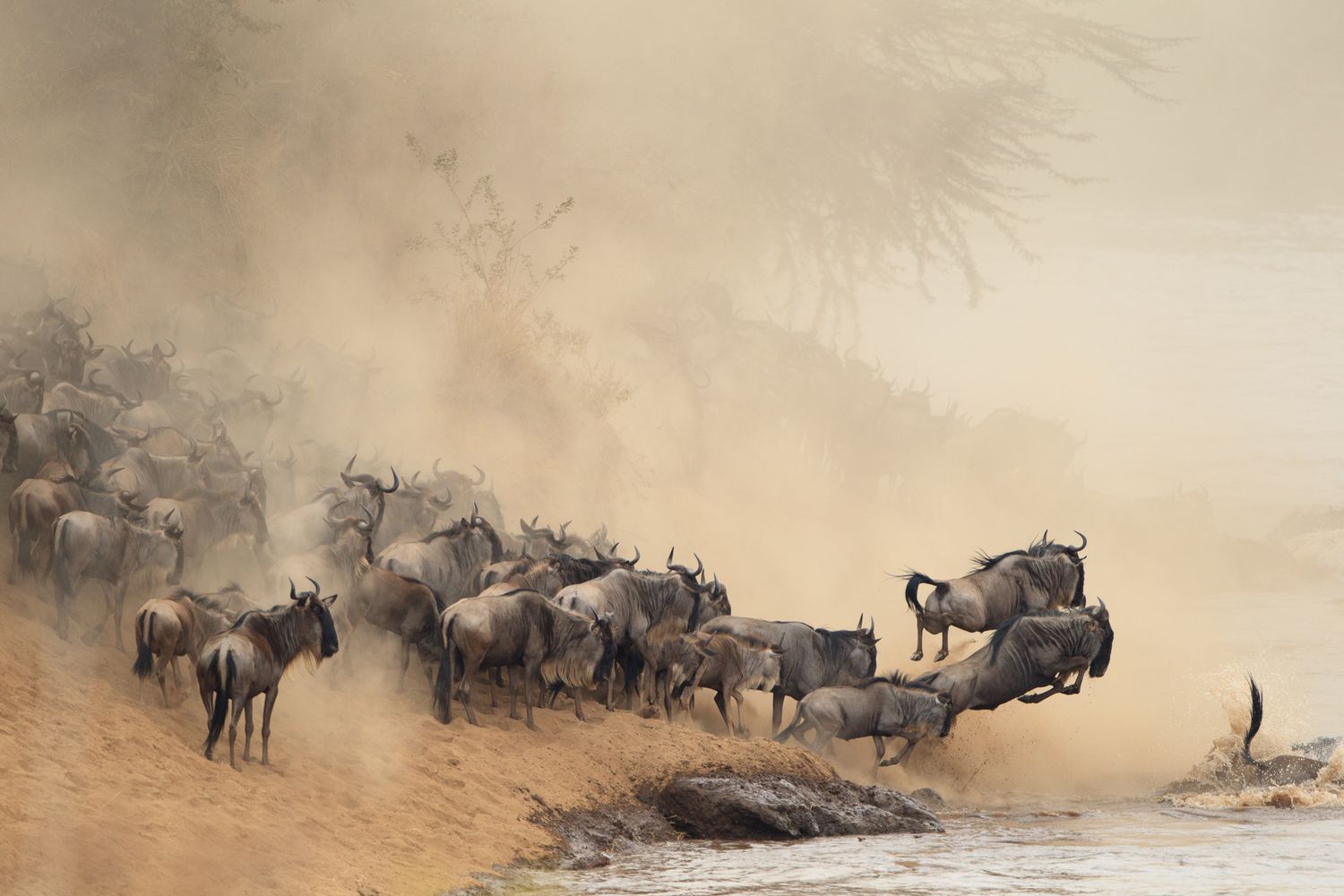 great migration experiences