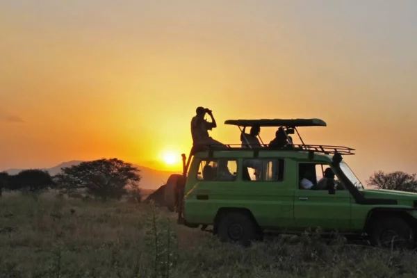 Uganda Game Drives & Gorilla Safari