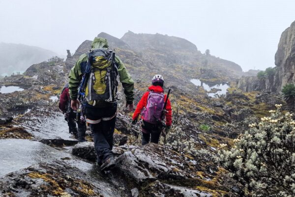 Mt Rwenzori National Park