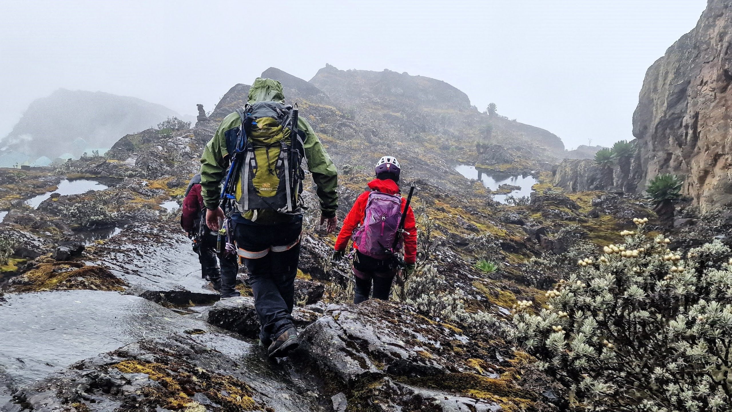 Mt Rwenzori National Park